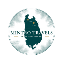 Mintro Travels